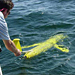 WHOI Selects Teledyne Webb Research to Provide Open Ocean Gliders for Ocean Observatories Initiative (OOI)