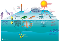Depiction of processes operating at the air-sea interface and in the upper ocean mixed layer