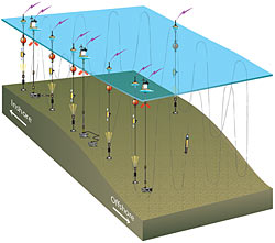 Pioneer Array 