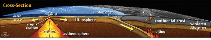 plate scale tectonics