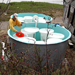Insights into Harmful Algal Blooms