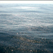 Sea surface slicked with oil from the natural seeps off Santa Barbara.