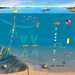 A New Era in Observing the Ocean