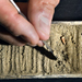 Propane-producing Bacteria Found on the Seafloor