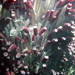 Seafloor bacteria are multi-tasking with the carbon cycle