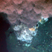 hydrothermal vents