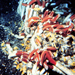tubeworms