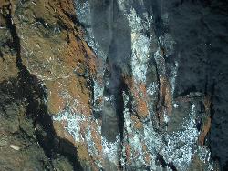 high temperature hydrothermal activity, mariner vent field, lau basin