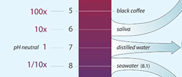 The pH Scale