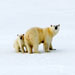 Polar Oceanography