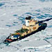 Polar Discovery