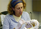 Postdoctoral Fellowships