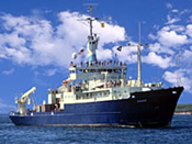 Cobalt and Iron in the South Atlantic