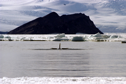 Ross Sea Antarctica