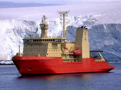 Trace Metal-Phytoplankton Interactions in the Ross Sea