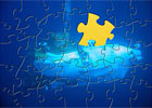 Puzzles
