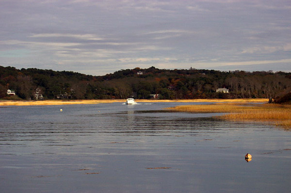 High Tide on the Pamet
