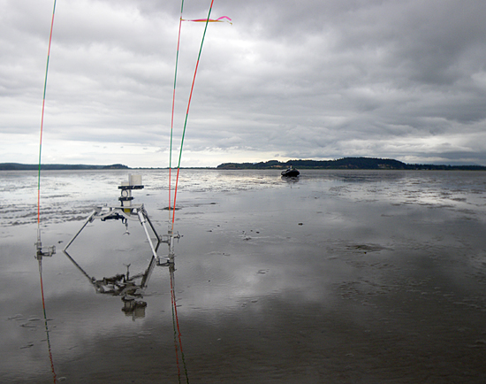 tripod at skagit tidal flat