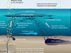 natural oil seep diagram