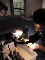 Sample Preparation