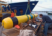 REMUS 600