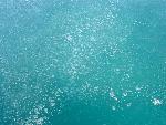 Methane Bubbles