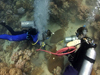 coring coral