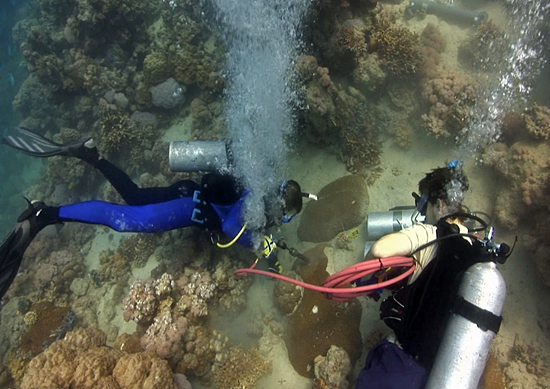 coring coral