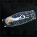 Changes in the Antarctic Ecosystem: Salps versus Krill
