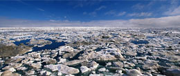 Sea Ice Glossary