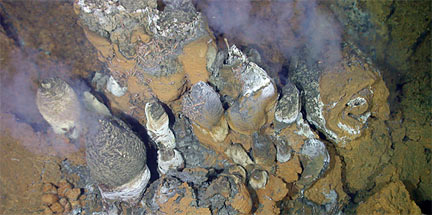 precipitation of minerals