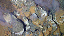 Seafloor Mining
