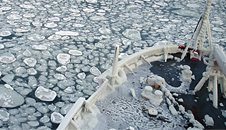 Sea Ice