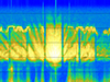 Fin whale call
