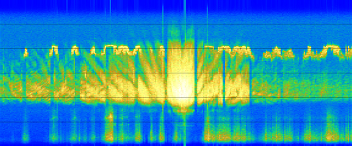 Fin whale call