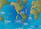 On the Seafloor, Different Species Thrive in Different Regions