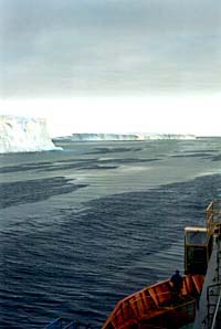 Aurora Australis