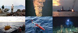 Science in a Time of Crisis