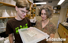 Summer Student Fellow Slideshow