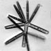 Images of diatoms captured by the Imaging FlowCytobot