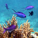 Beauty in Bahamas