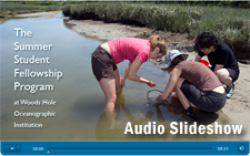 Summer Student Fellow Audio Slideshow
