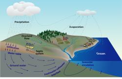Subterranean Estuary Geochemistry