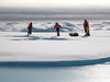 Sampling on sea ice