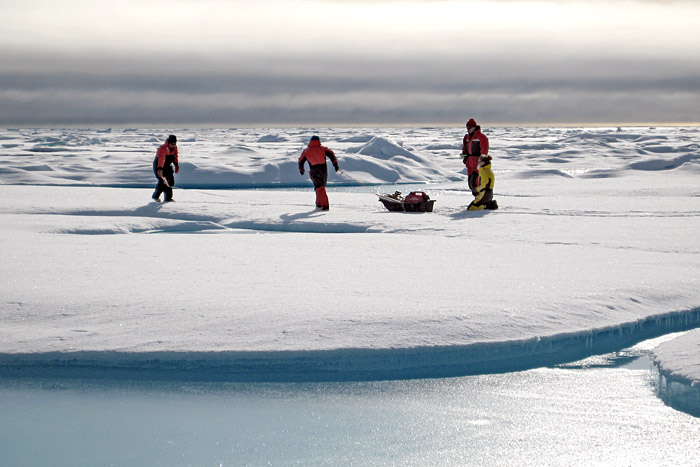 Sampling on sea ice