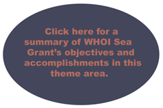 click for objectives and accomplishments in this theme area