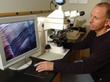 Researcher Simon Thorrold at work