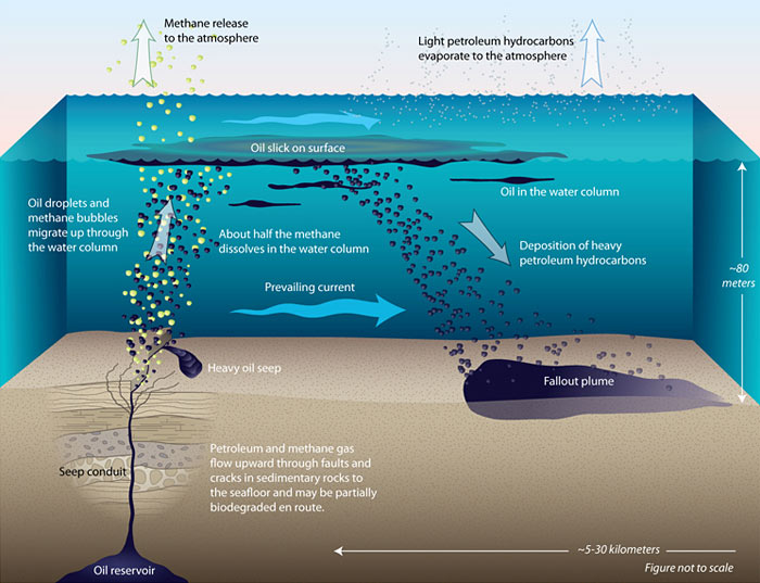 oil seep illo