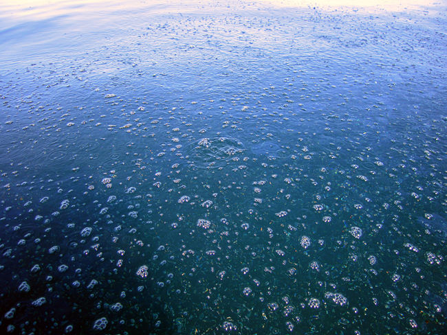 Oil and methane bubble to the ocean's surface