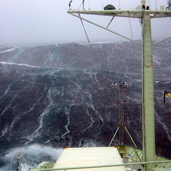 Into the Wild Irminger Sea